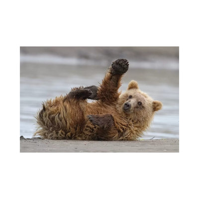 High Five by Alfred Forns - Wrapped Canvas Gallery-Wrapped Canvas Giclée
