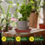 10 po Soucoupes pour plantes robustes en plastique (paquet de 6)-1146336222-1146647299