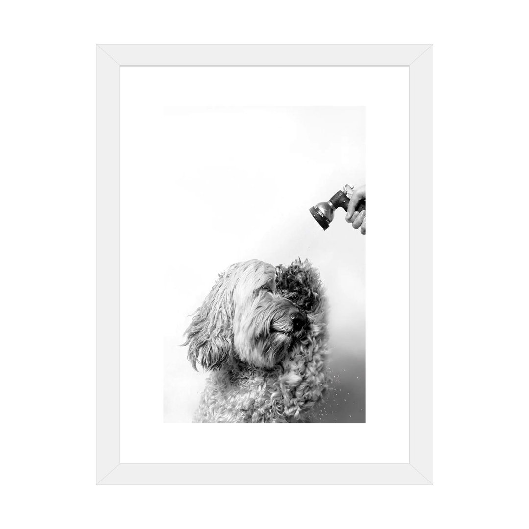 " Wet Dog, Lelu, Black And White " by Sophie Gamand East Urban Home Mat