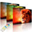 Lion Abstract by No - Wrapped Canvas Print-49671838-49671836