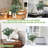 10-piece Eucalyptus Mason Jar Flower Centerpiece Set