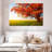 Harnek Autumn Oak Tree-107699201
