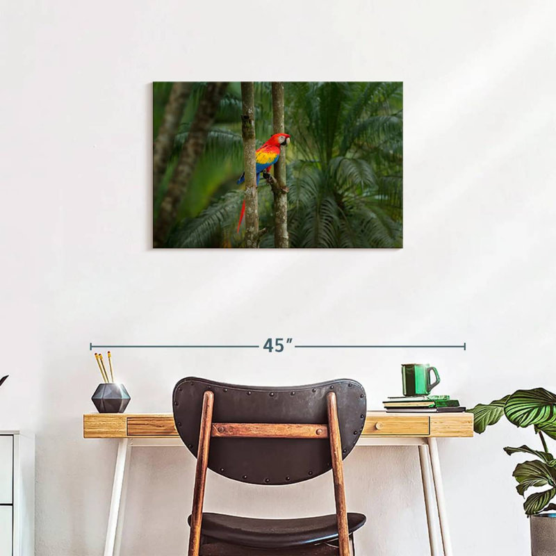 Brampt Wild Scarlet Macaw, 20" H x 30" W