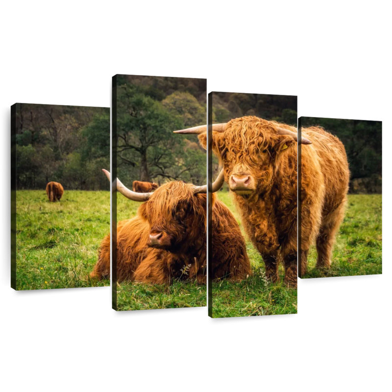 Brampt Highland Cow Friends, 22" H x 36" W