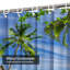 Plage de sable tropicale blanche avec palmiers et nuage bleu avec 12 crochets-126430018