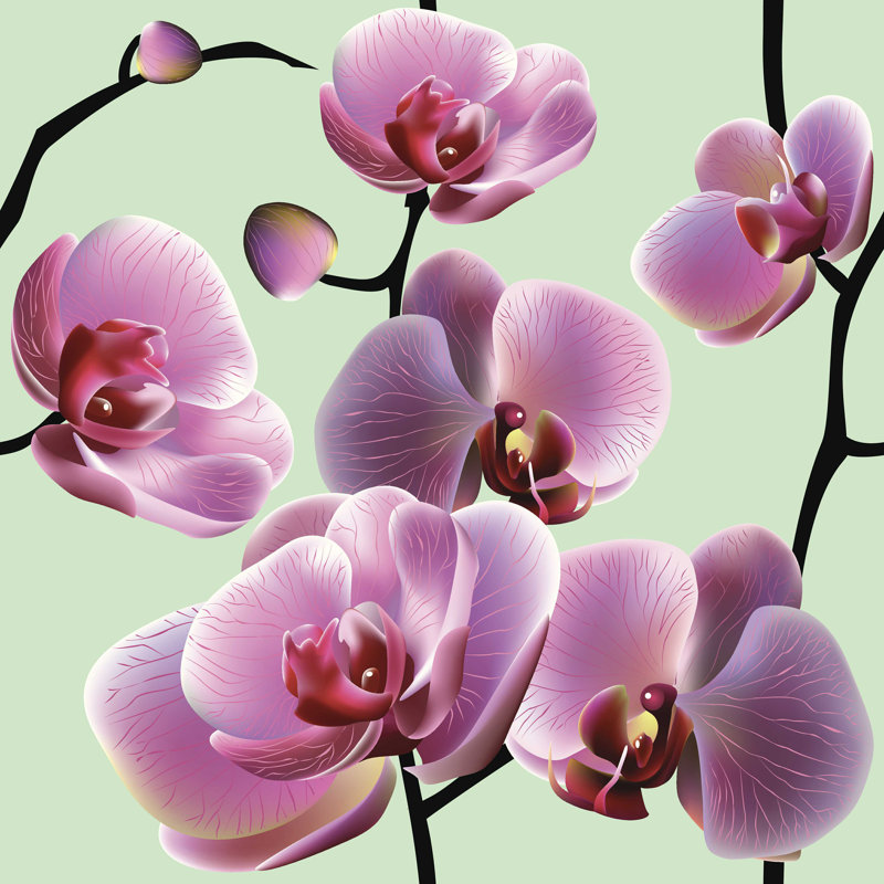 " Orchid Flowers " by Julietarts, 12" W x 12" H