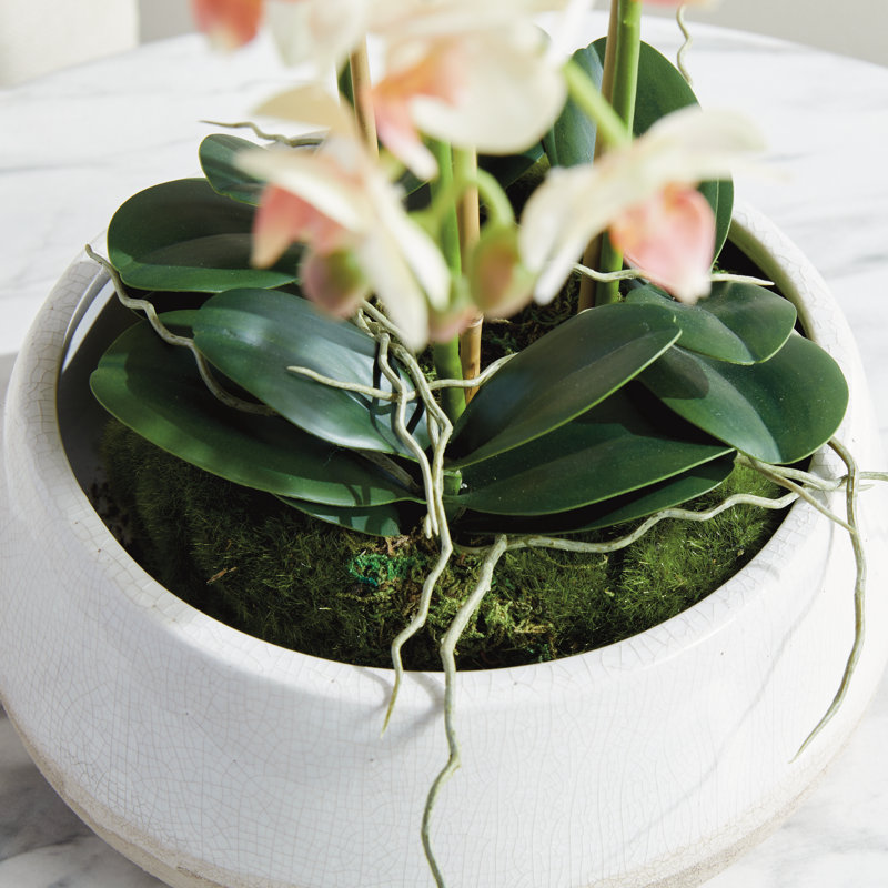 Light Pink Orchid 16" Mini Garden Drop-In