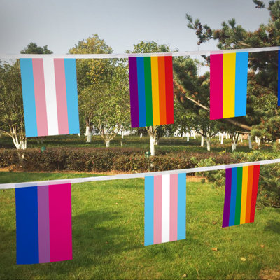 Abbad 32pcs Assorted Rainbow String Flags - 4 Mixed Pennant Banners with LGBT, Pansexuality, Bisexuality, and Transgender - 32 Flags 26 Feet