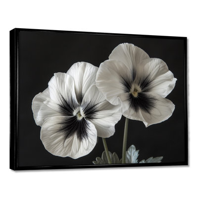 White Black Botanical Beauty Pansies II - Pansies Wall Art Living Room