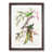 Walnut Framed selected