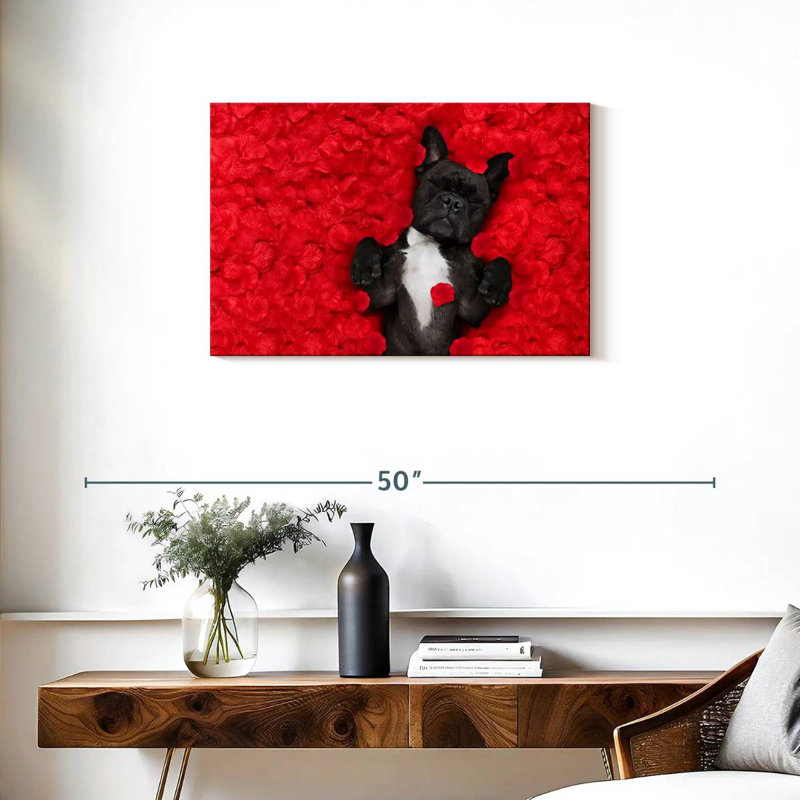 Bouledogue français Brampt Valentines, H 20 po x l 30 po