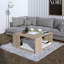Table basse avec rangement Haldeman-1052001728