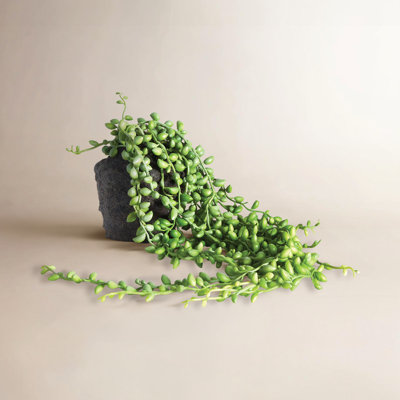 26" Succulent Plant in Planter