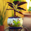 Pot de fleurs en céramique Union Rustic