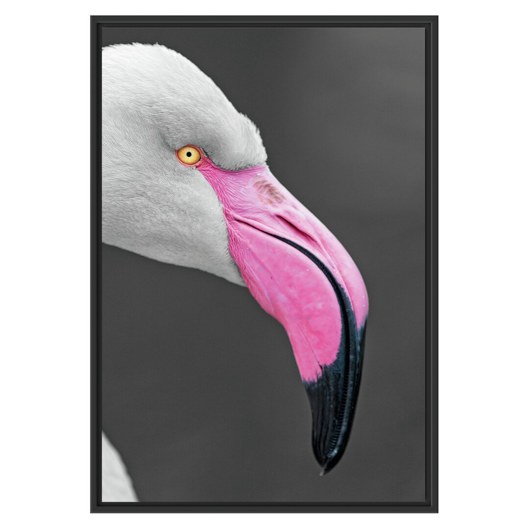 Gerahmtes Wandbild FlamingoSeitenprofil