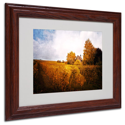« light in vignobles », reproduction de photo sur toile encadrée