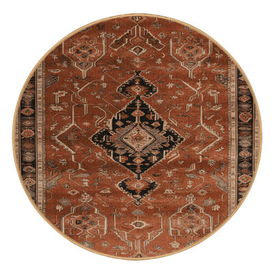 Machine Washable Persian Brown Area Rug