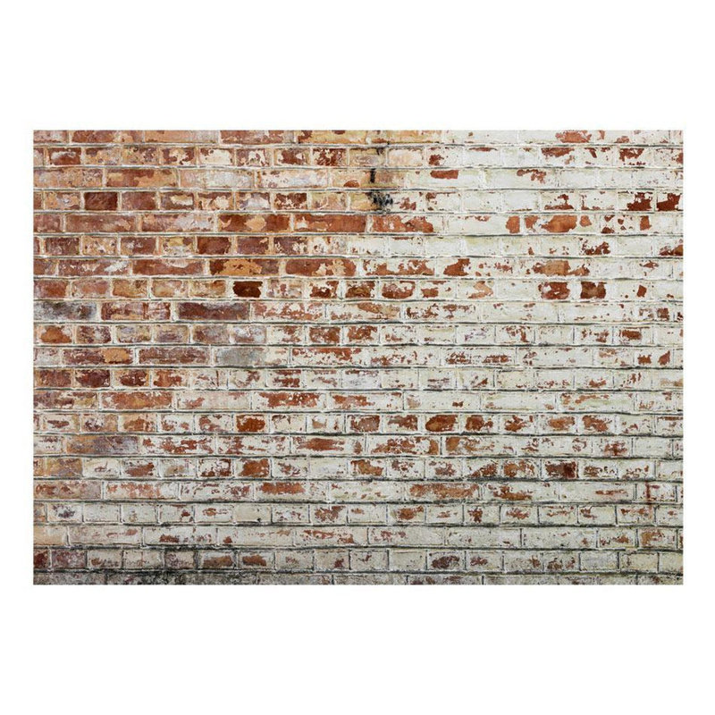 Murale Damonn Walls of Memory, L 82 po x l 118 po, Brun