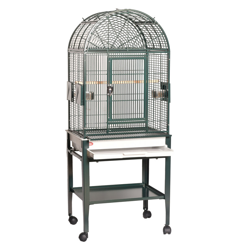 Petite cage dôme supérieure verte par HQ, Vert