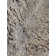 Ebru Area Rug in Gray