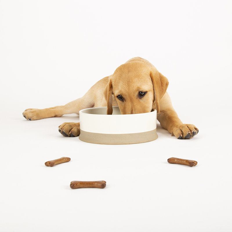 Scruffs Scandi Collection 28.156ml Pet Bowl