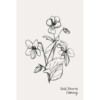 Fleurs Annuelles II