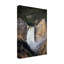 Reproduction d'art sur toile "Rapid Waterfall IV" parologiste-98233322