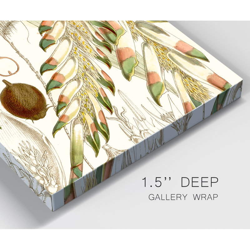Reproduction d’art sur toile tendue « tropical Variety I », H 20 po x l 16 po x 1,5 po