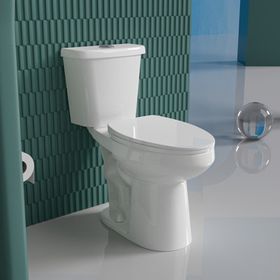 Toilette allongée deux pièces de 19 po de hauteur ADA pour personnes âgées, tornade double 1,1 / 1,6 GPF, carte 1000 g, blanc
