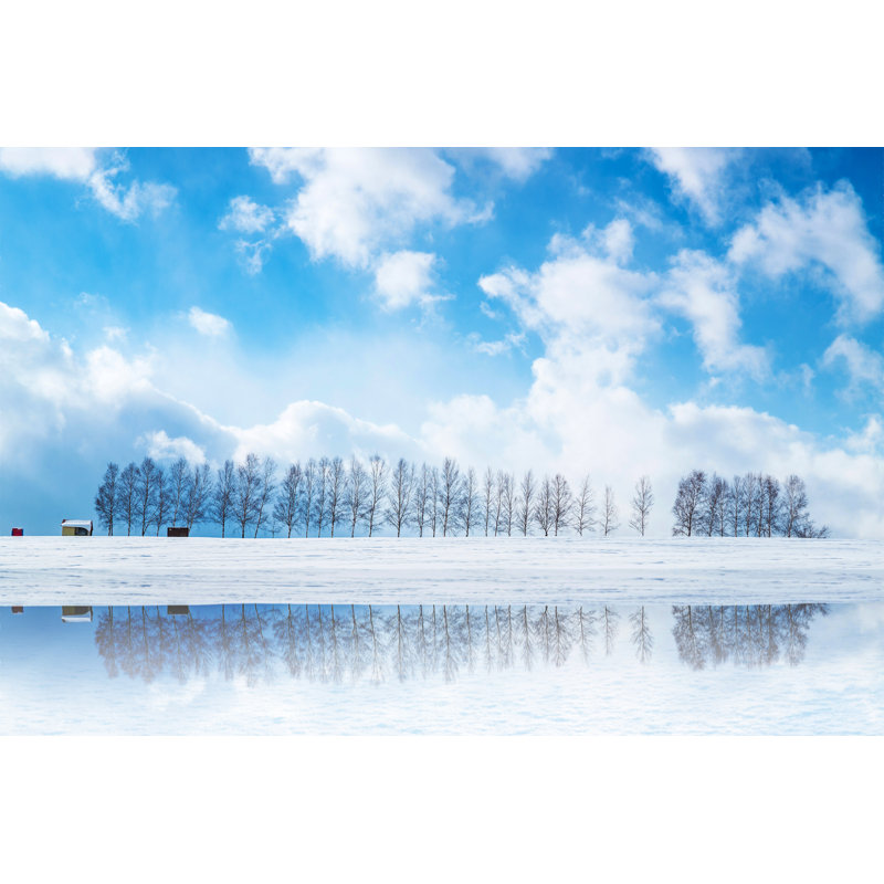 Birch Trees In Biei - Wrapped Canvas Print, 81cm H x 122cm W