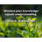 Trinx Gallery Wrapped Canvas By Reid A. Ashbaucher: "Wisdom plus knowledge equals understandi