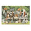 Furtado «Cats in The Garden», reproduction de peinture acrylique sur toile tendue-30394452