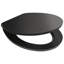 Toilet Seat INIRIDA Black