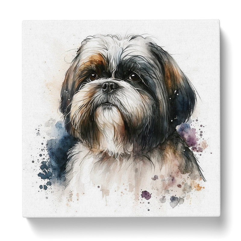 Shih Tzu Watercolour - Wrapped Canvas, 35cm H x 35cm W x 3cm D