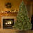 Downswept Douglas Fir Tree with Clear Lights-221982191
