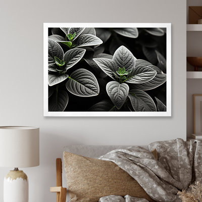 Plantes grises, sérénité botanique sur toile