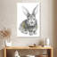 Bébé lapin Brampt-106965041