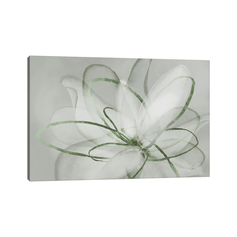 Transparent Transparent III - Sauge 3 pièces, H 20,32 cm x l 30,48 cm
