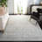 Douglass Performance Oriental Rug-19035454