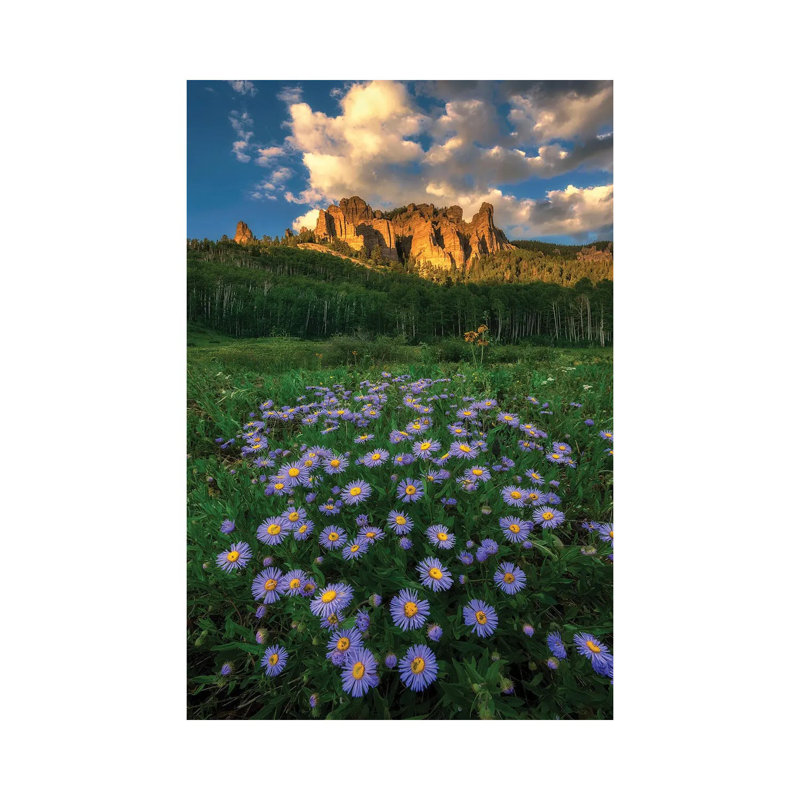 Canyon And Daisies By Mei Xu - Wrapped Canvas Photograph by Mei Xu - Wrapped Canvas Print, 30.48cm H x 20.32cm W x 1.91cm D
