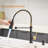 XWSI Pull Down Touch Kitchen Faucet