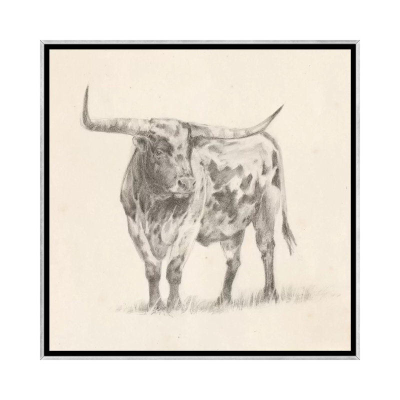 «Longhorn Steer S Croquis II» par Ethan Harper - reproduction d'art, Toile avec cadre argenté, H 26 po x l 26 po x P 1,5 po