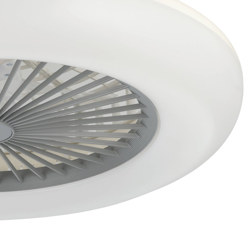 Antiope Ceiling Fan with Light Kit
