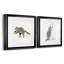 Rascally Raccoon III - ensemble de 2 cadres photo-866149554-861547196-861547193