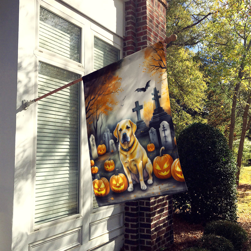 Drapeau de maison d'Halloween en polyester à double face H 40 po x l 28 po
