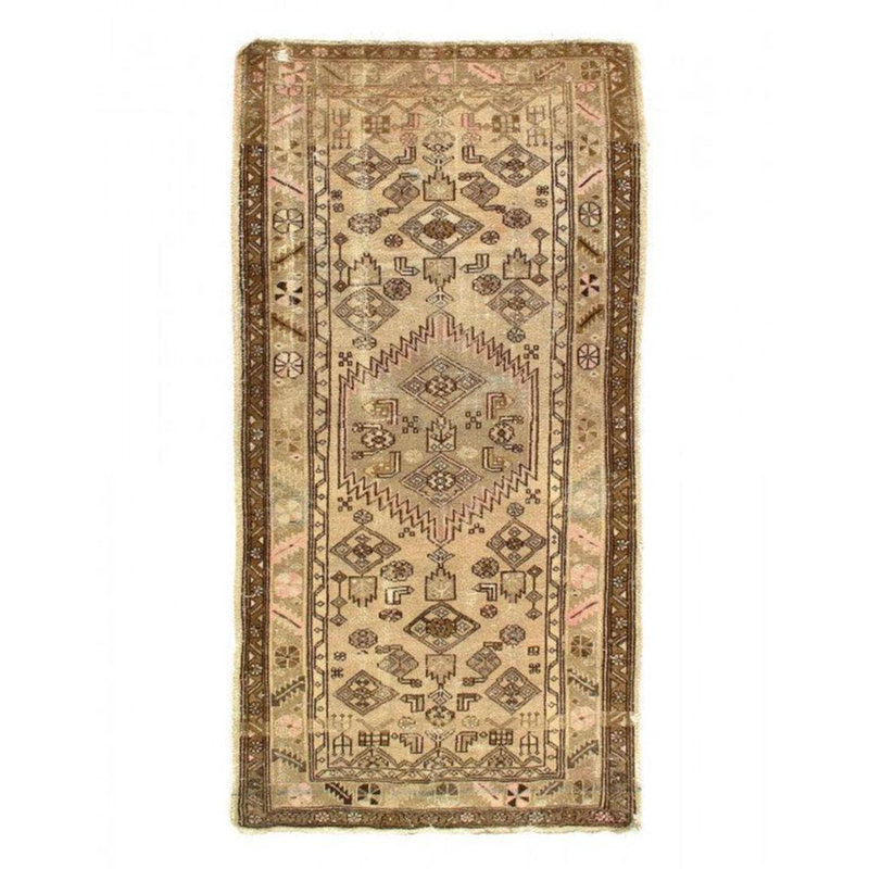 Hartwald Oriental Area Rug