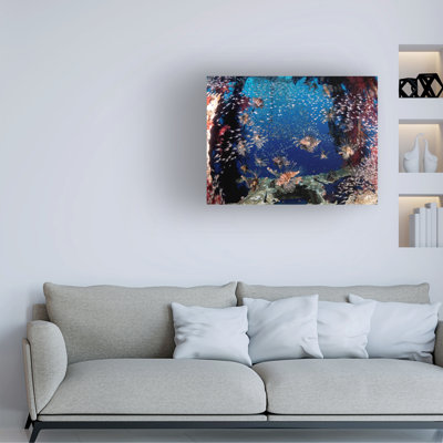 Ilan Ben Tov Lionfish Party Canvas Art