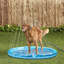 Piscine pour chien Ferit en PVC de 0,04 po Ferit-1372712198