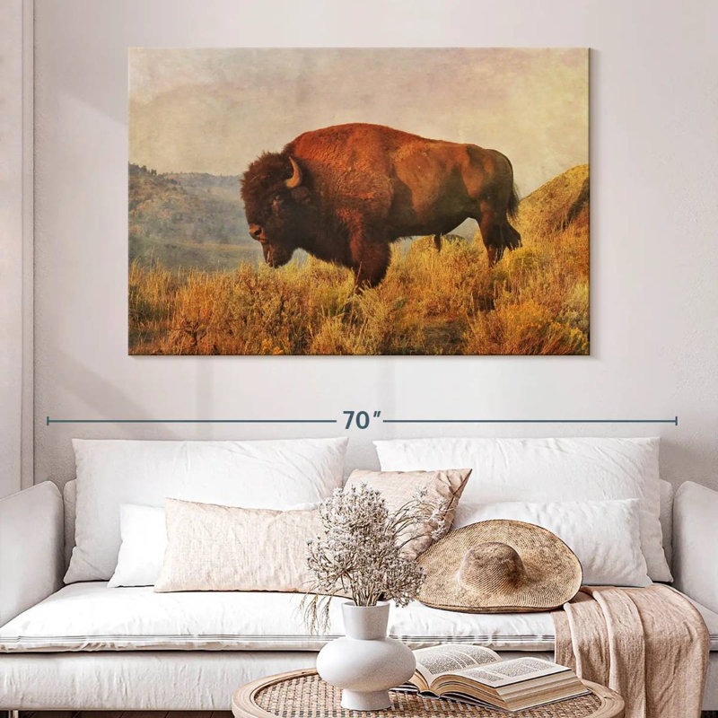 Bison sauvage sur le terrain, H 34 po x l 51 po