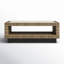Arlette Wicker Rectangular Outdoor Coffee Table with Shelf